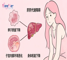 备孕试管反复失败？别怨卵子！肝代谢才是雌孕激素平衡的关键！