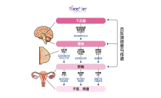 一到更年期就胖？根本不是吃多了，而是因为Ta!