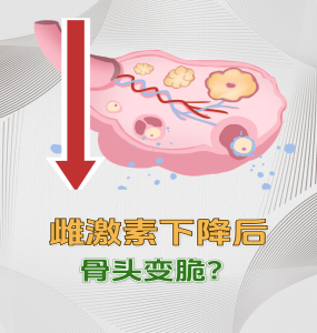 人们说的女性雌激素指的是什么？