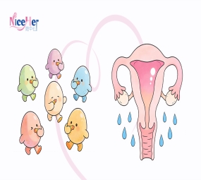 卵巢功能=孕育根基？搞懂POI与荷尔蒙的关系，好孕少走3年弯路！