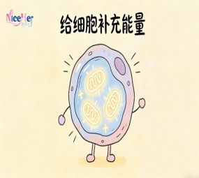 不止叶酸！备孕营养新焦点：打造利于卵子发育的荷尔蒙环境！