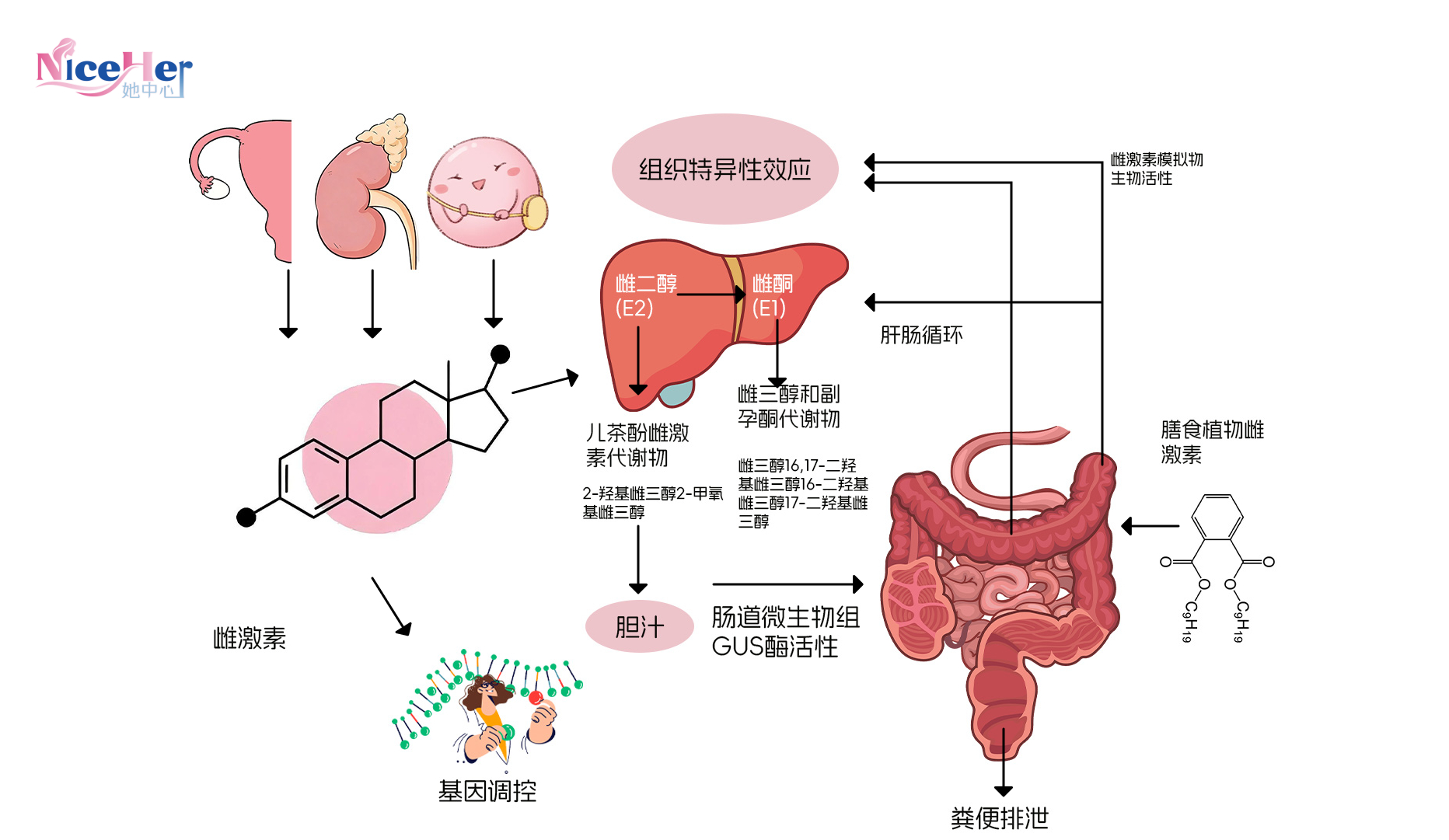 分组 6 (1) 分组 6 (1)